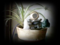 mini fuente de agua 